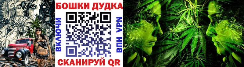 Где найти наркотики Уяр Галлюциногенные грибы  АМФЕТАМИН  Меф  ГАШИШ 
