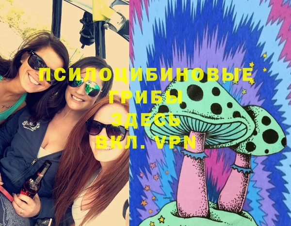 MESCALINE Надым