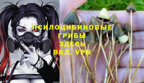 хмурый Наволоки