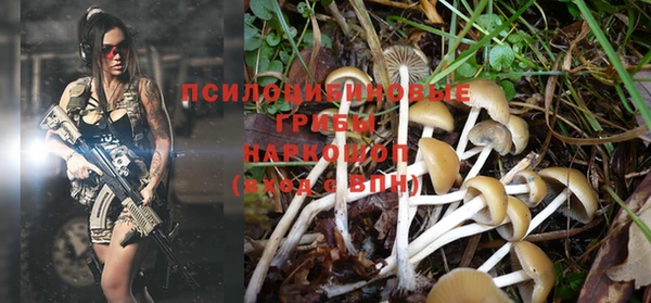 мескалин Березники