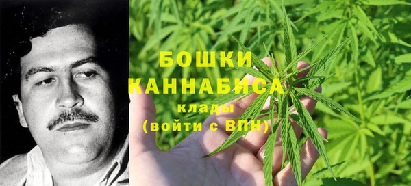 героин Алексин