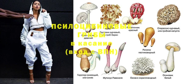 эйфоретик Алзамай