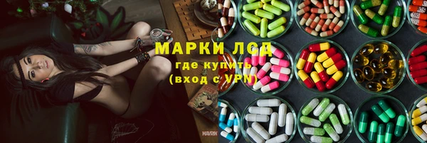 прущие грибы Алексеевка