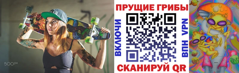 купить наркотик Уяр Галлюциногенные грибы Cubensis